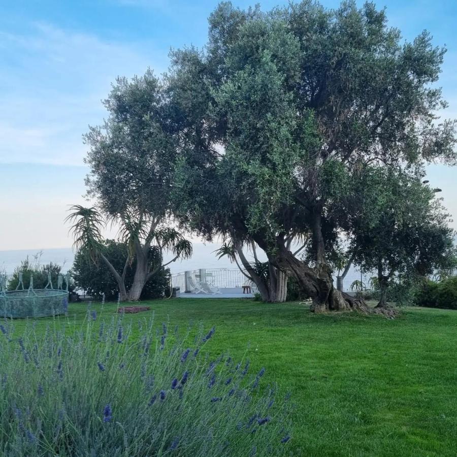 Agriturismo La Tuffatrice Imperia Exterior foto